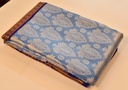 Pastel Blue - Tissue Semi Silk with Silver Zari Weaving
